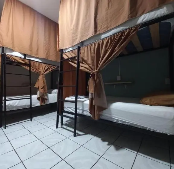 Cama em Quarto Partilhado, Chante