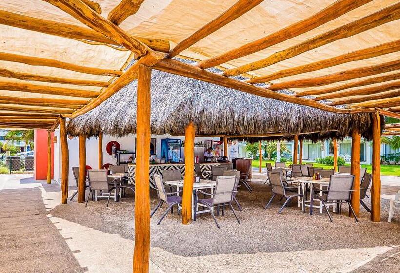 شقة غرفة واحدة, Flamingos Beach 401