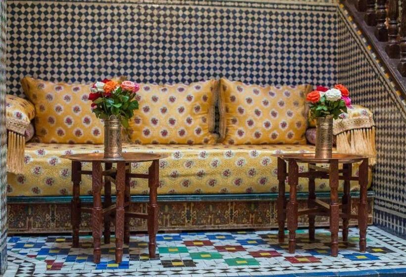 اتاق اکونومی, Fez Experiences