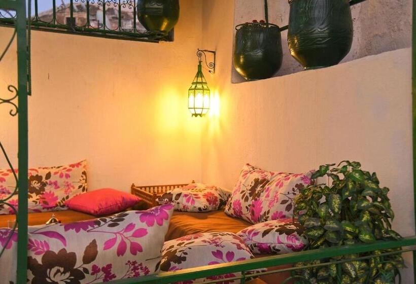 سوییت خانوادگی, Fez Experiences