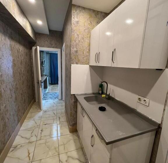 آپارتمان 1 خوابه با بالکن, Feridiye