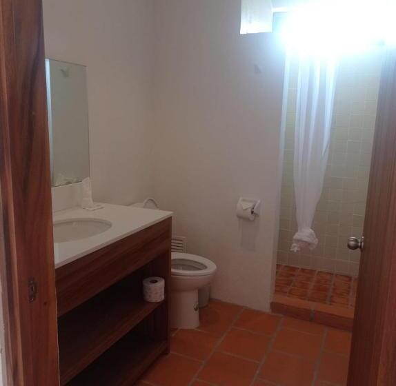 جناح جونيور مزوَّد بشرفة, Aurelia