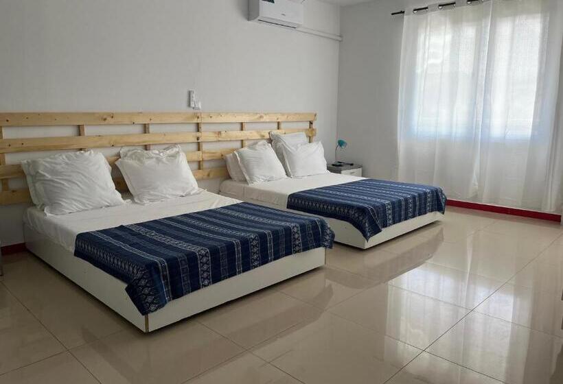 استودیو استاندارد با تراس, Principal