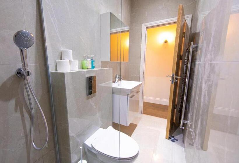 带1个卧室的豪华公寓, Ealing Residency