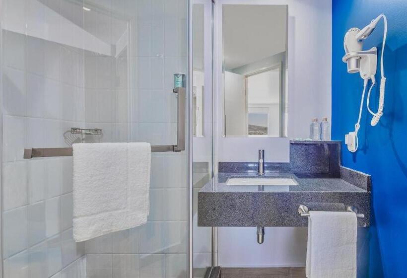 高级大房间, One Morelia Acueducto