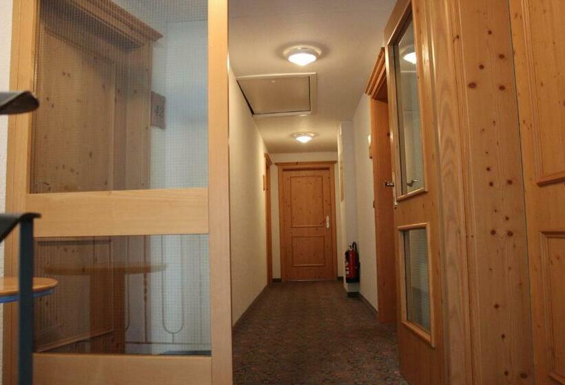 스탠다드 싱글 룸, Alpenhotel Widderstein