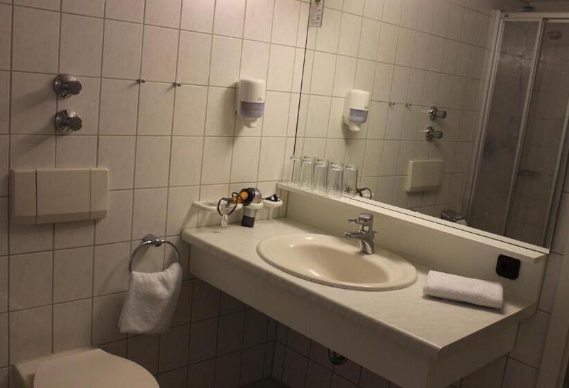 4인용 스탠다드 룸, Alpenhotel Widderstein