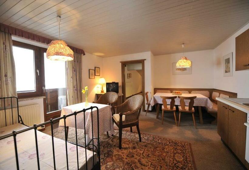 شقة غرفة واحدة ذات إطلالة, Apparthotel Restaurant Steiners