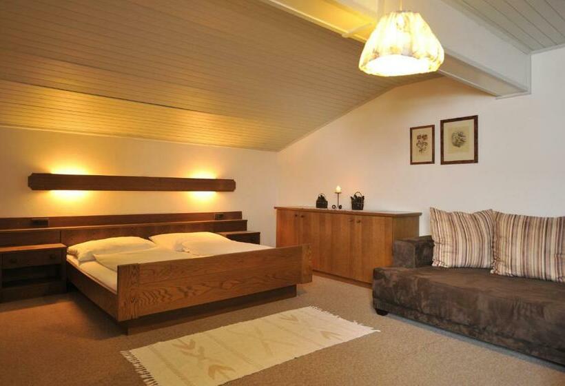 شقة غرفة واحدة ذات إطلالة, Apparthotel Restaurant Steiners