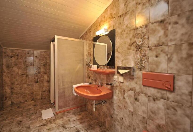 חדר סטודיו סטנדרד, Apparthotel Restaurant Steiners