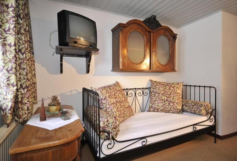 חדר סטודיו סטנדרד, Apparthotel Restaurant Steiners