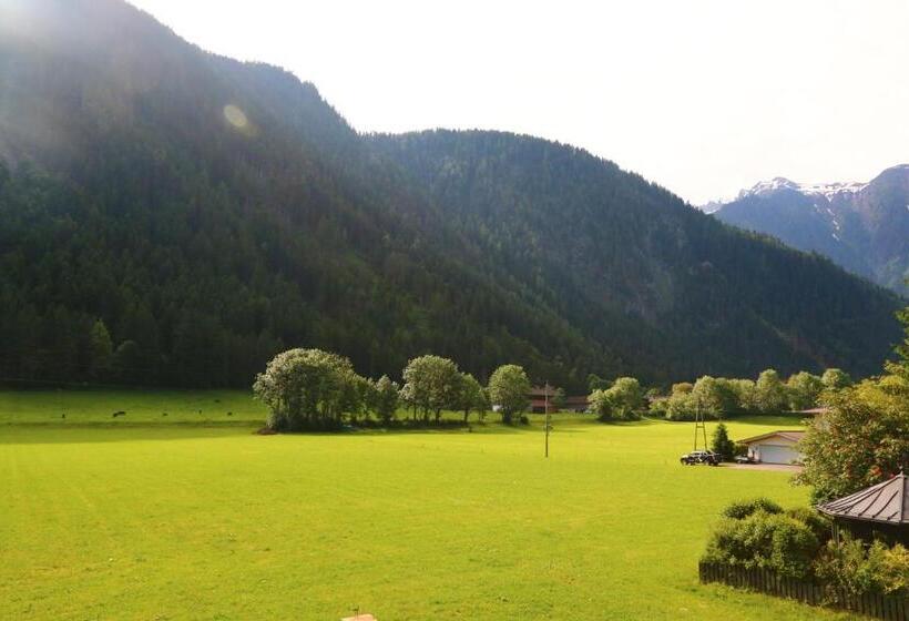 اتاق استاندارد با چشم‌انداز کوهستان, Apart Garni Alpevita