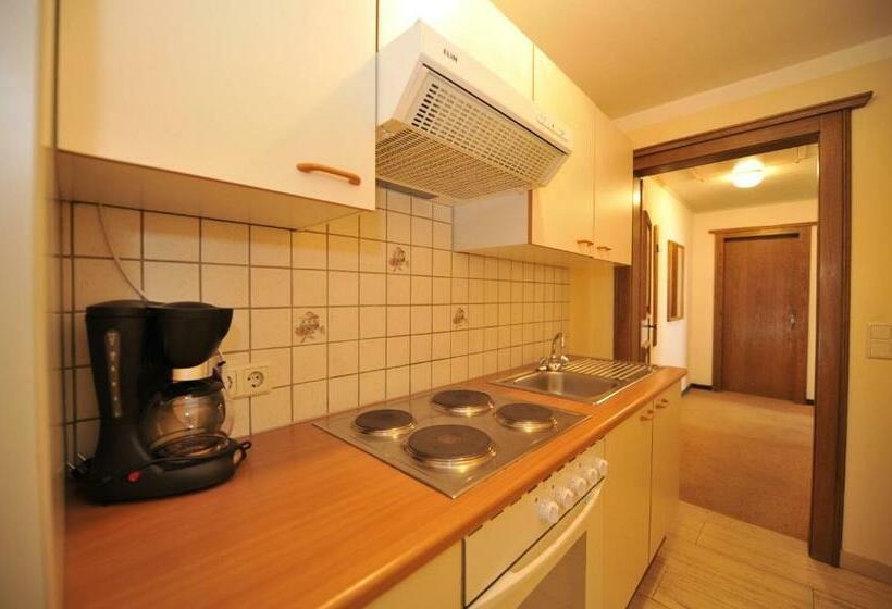 דירה בת חדר שינה 1 עם נוף, Apparthotel Restaurant Steiners