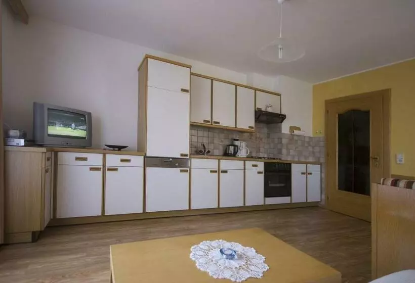 バルコニー付き１ベッドルームアパートメント, Ferienwohnungen Haus Schett