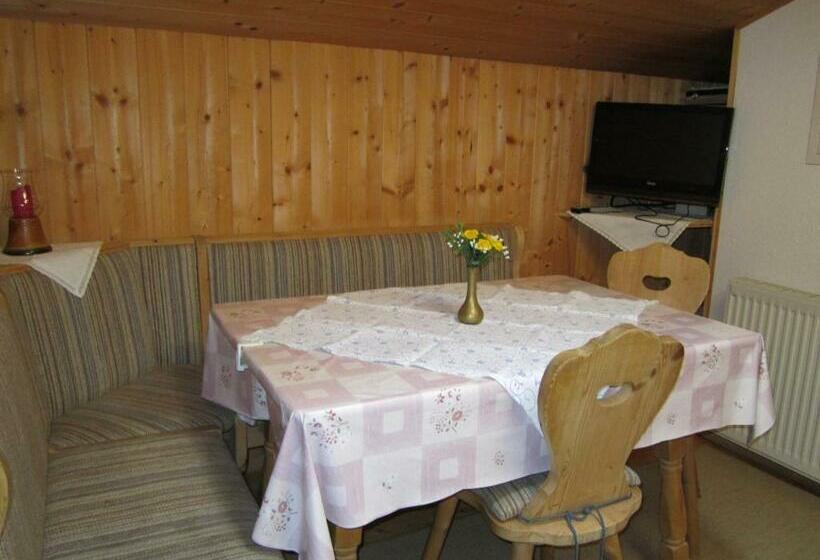 Апартаменты 1 Спальня с Балконом, Ferienwohnungen Haus Schett