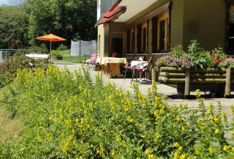 Apartamento 3 Dormitórios, Haus Sonnberg