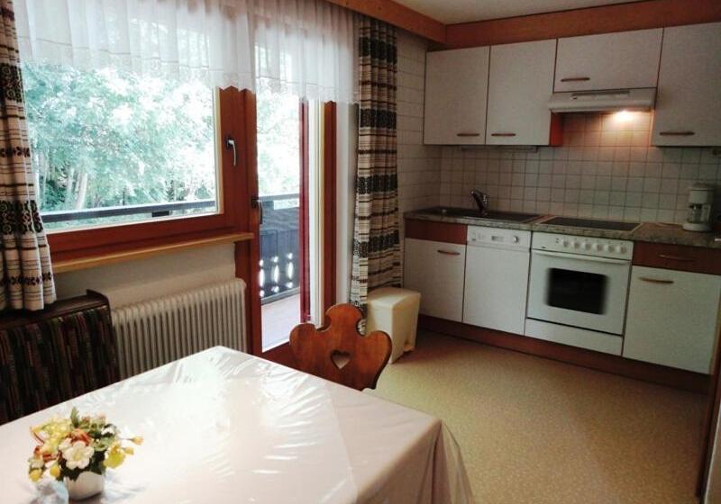 شقة غرفتين, Haus Sonnberg