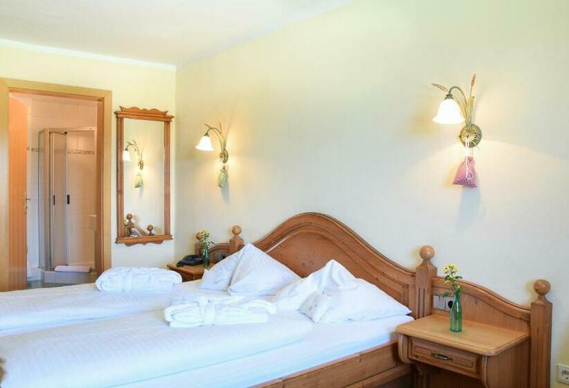 スタンダードルーム, Steffner Wallner