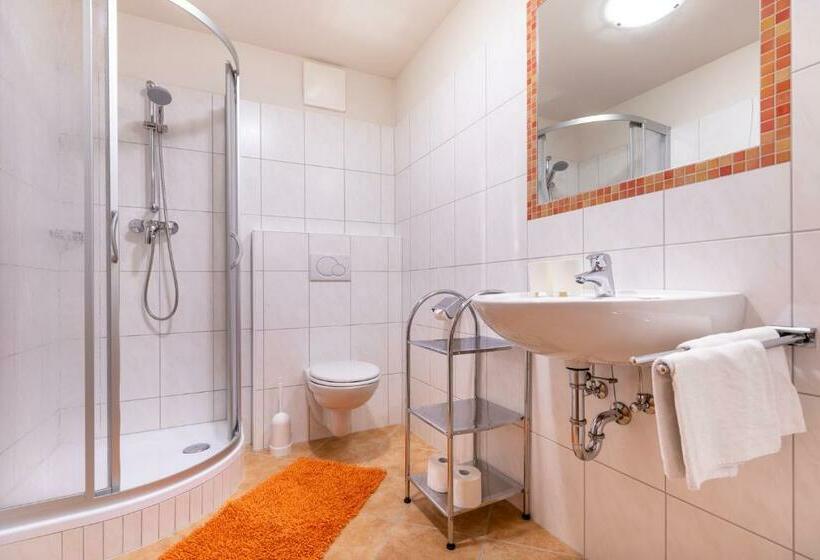 דירה בת חדר שינה 1 עם מרפסת, Wechslerhof