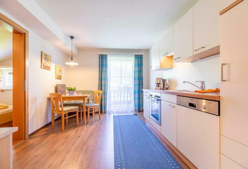 דירה בת חדר שינה 1 עם מרפסת, Wechslerhof