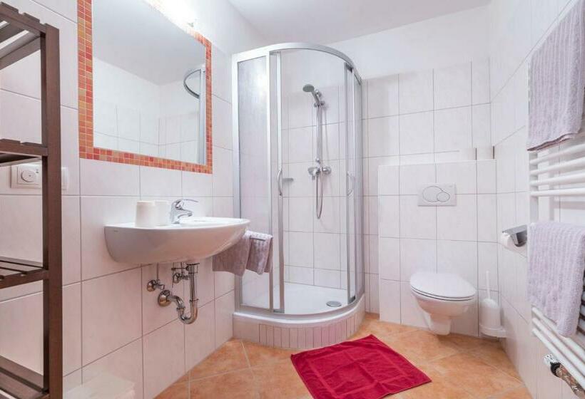 דירה בת חדר שינה 1 עם מרפסת, Wechslerhof