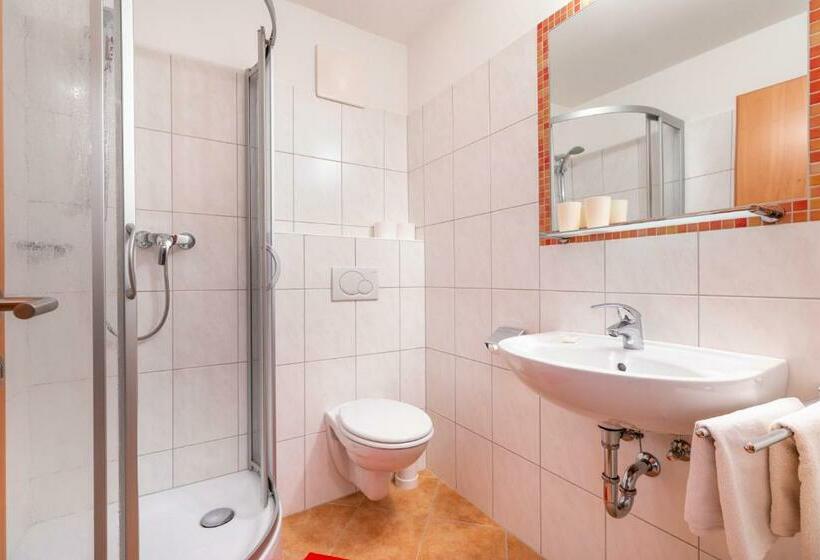 חדר סטנדרט עם מרפסת, Wechslerhof