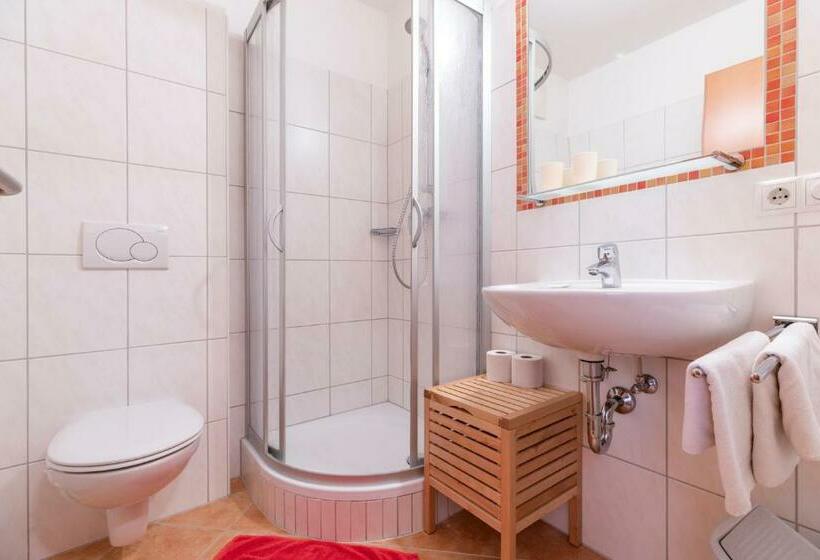 חדר סטנדרט עם מרפסת, Wechslerhof