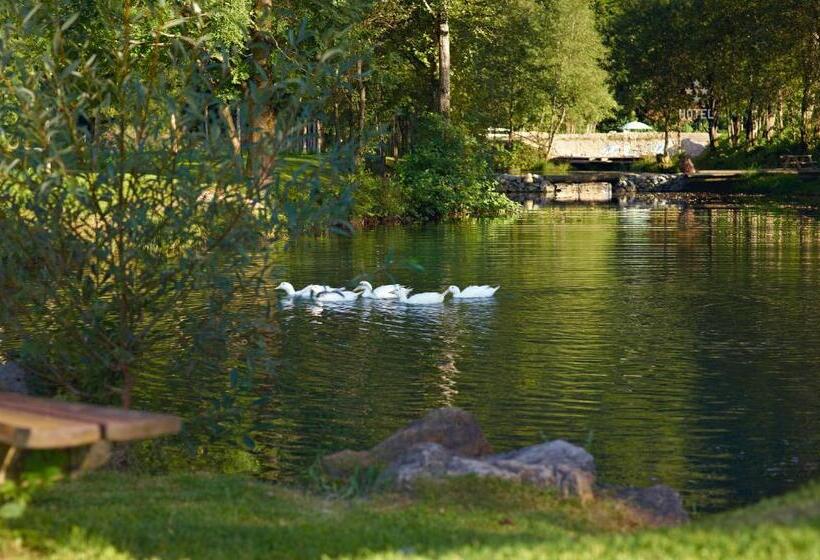 기본룸, B&b Zur Schanz