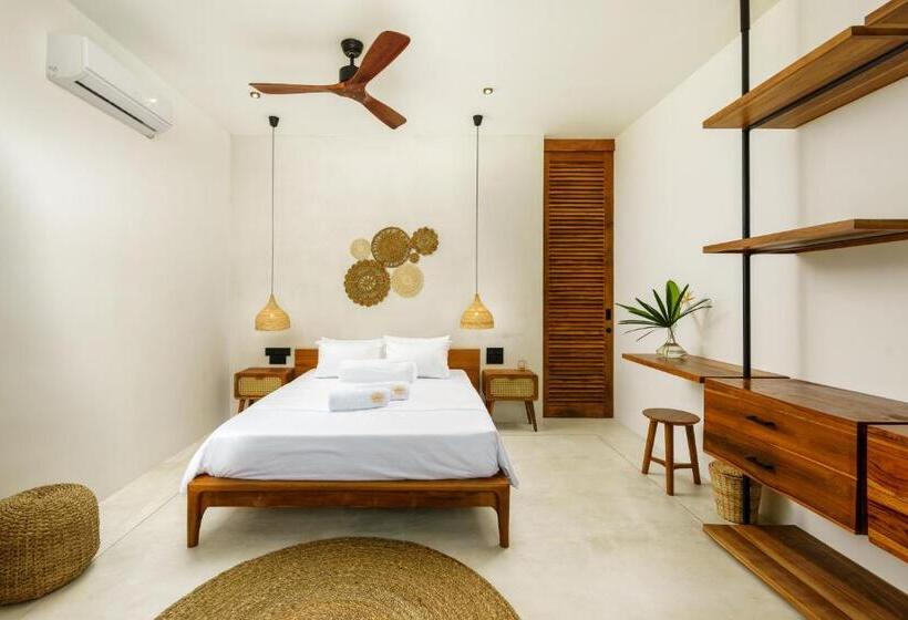 غرفة قياسية, Terra Resort