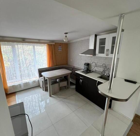 اتاق لوکس خانوادگی, Bakuriani Cozy Guesthouse