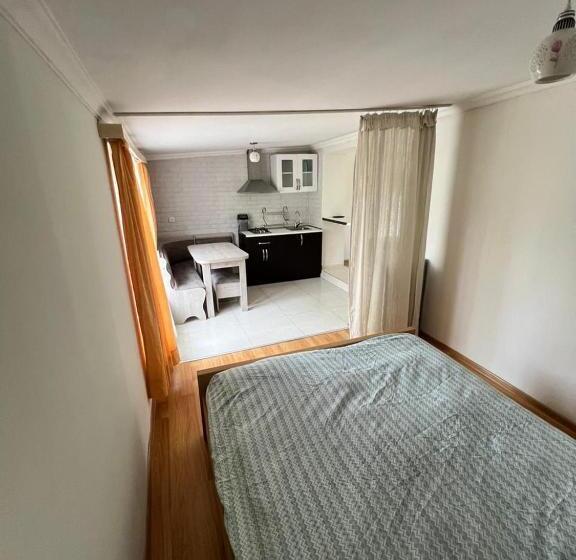 اتاق لوکس خانوادگی, Bakuriani Cozy Guesthouse