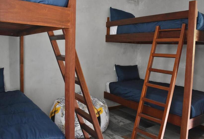 サイドオーシャンビュースタンダードルーム, Beachbums Lodge