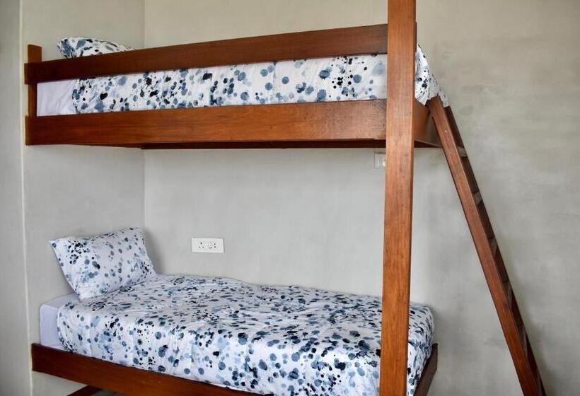 Номер Стандарт Боковой Вид на Море, Beachbums Lodge