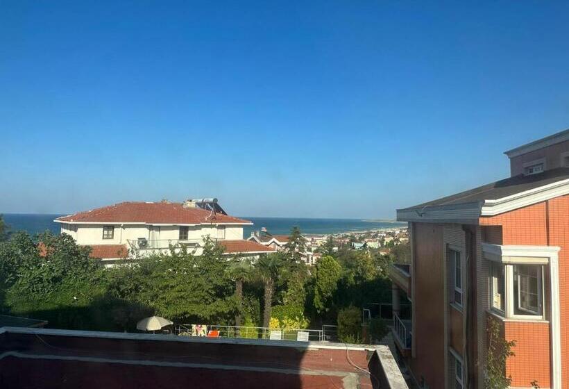 スタンダードルーム, Treekos Suite