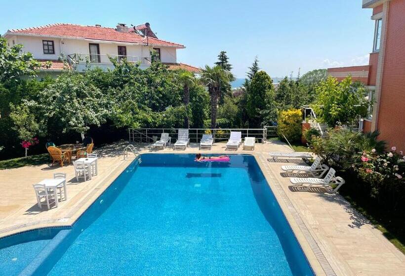 スタンダードルーム, Treekos Suite