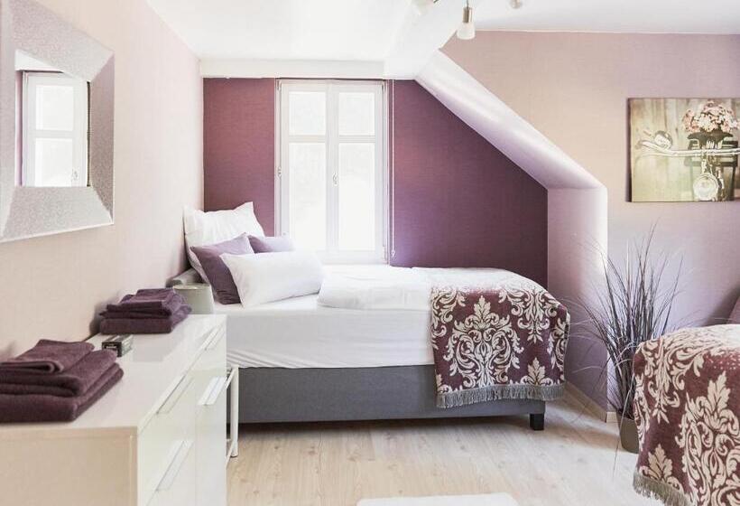 Номер Стандарт, Bnb Rauschenberg