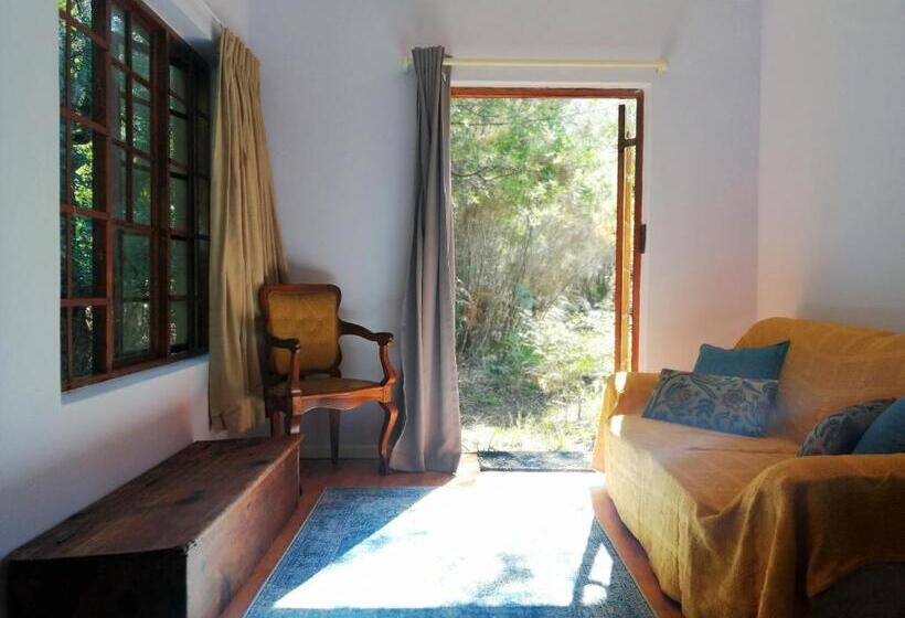 スタンダードルーム, Bushman S Pillow