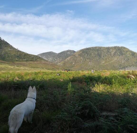 スタンダードルーム, Bushman S Pillow