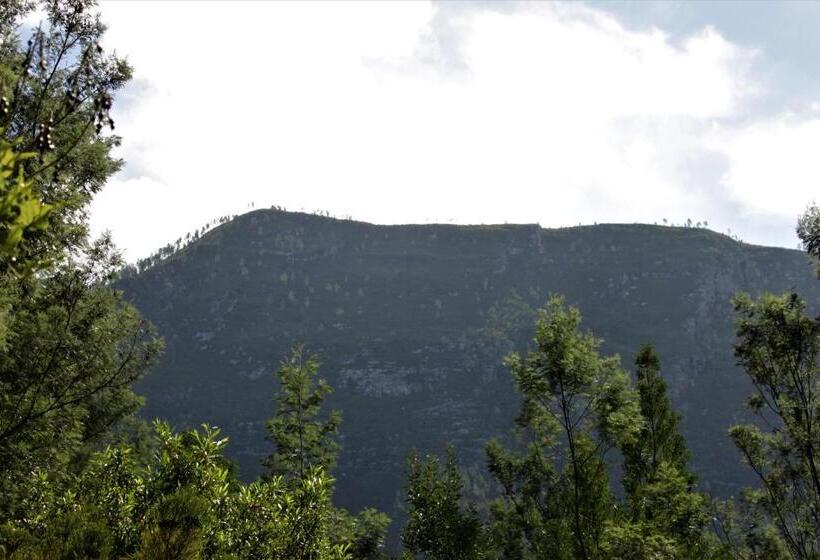 スタンダードルーム, Bushman S Pillow