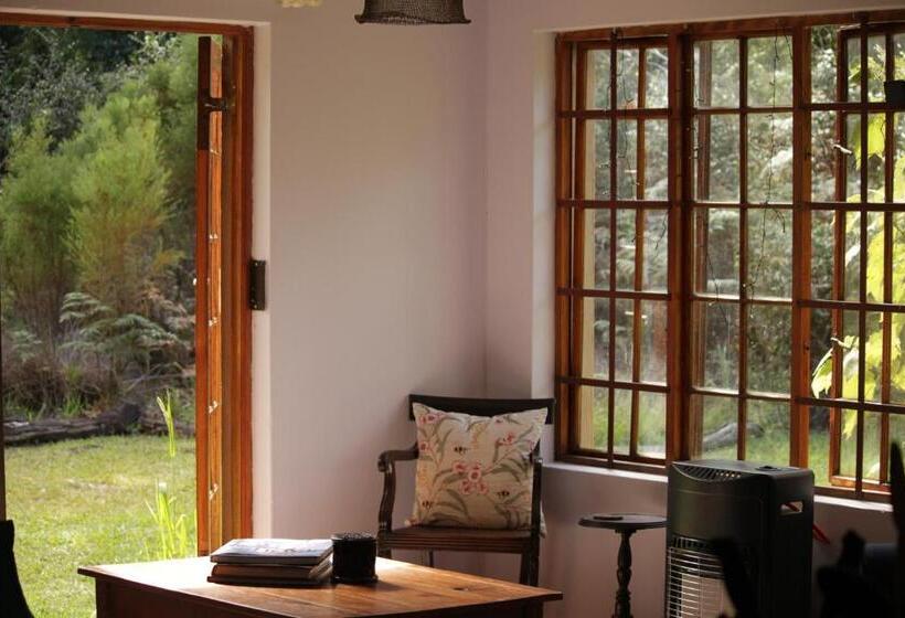 スタンダードルーム, Bushman S Pillow