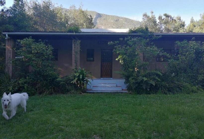 スタンダードルーム, Bushman S Pillow