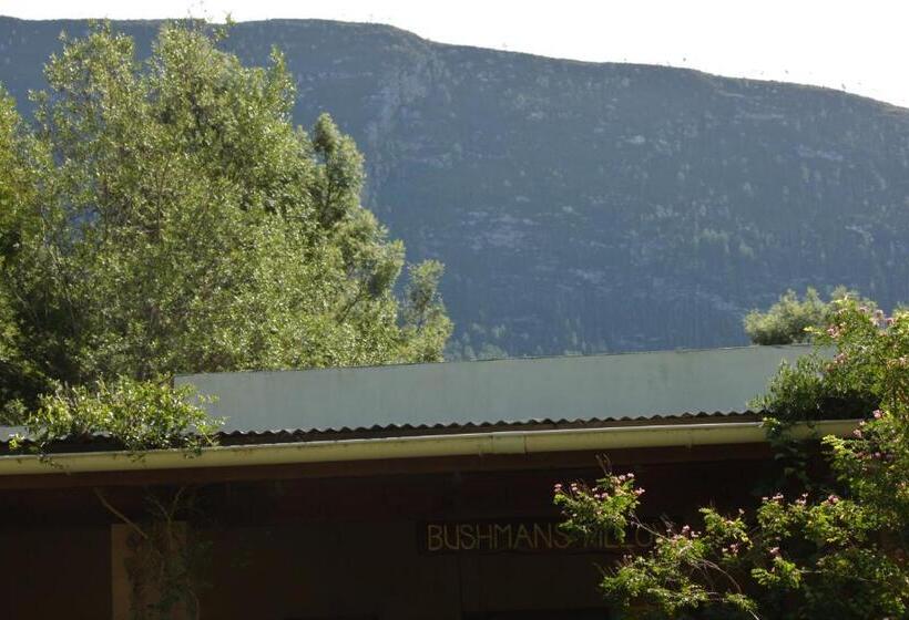 スタンダードルーム, Bushman S Pillow