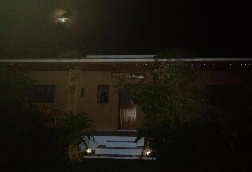 スタンダードルーム, Bushman S Pillow