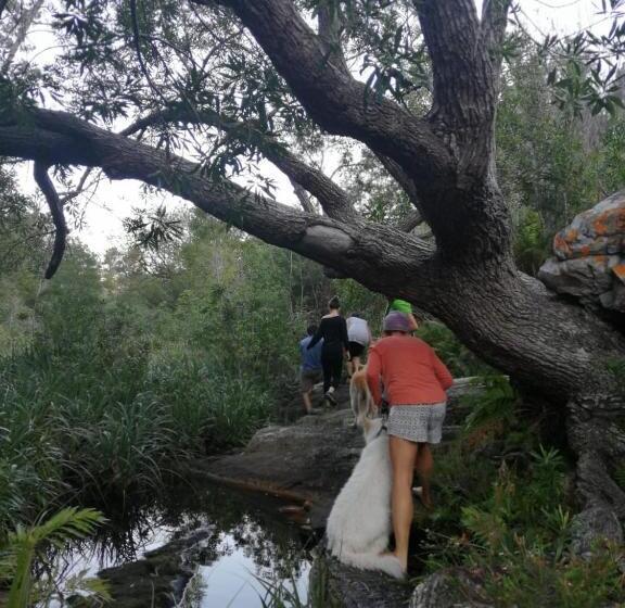 スタンダードルーム, Bushman S Pillow