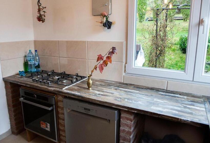 חדר משפחתי, Casa Cu Magnolii