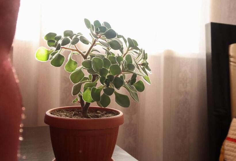 اتاق خانوادگی, Khan