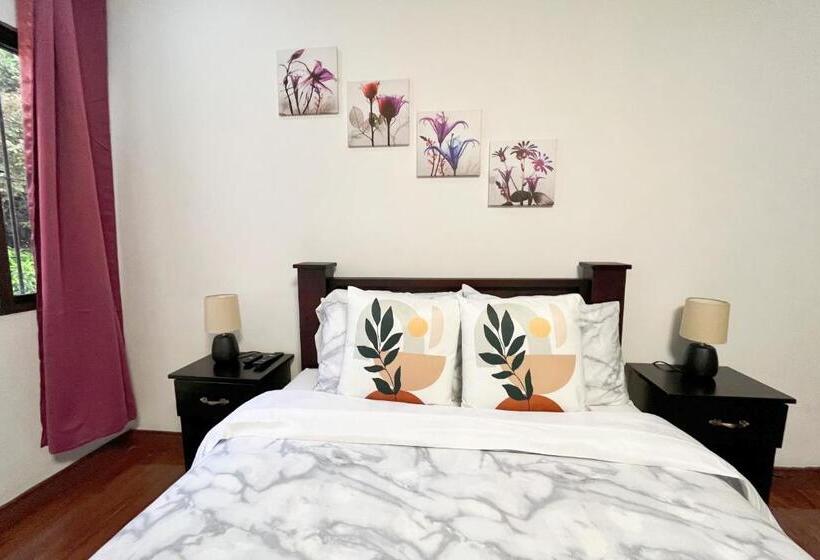 اتاق استاندارد با سرویس بهداشتی مشترک, Viva Guest House