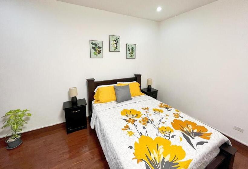 اتاق استاندارد با سرویس بهداشتی مشترک, Viva Guest House