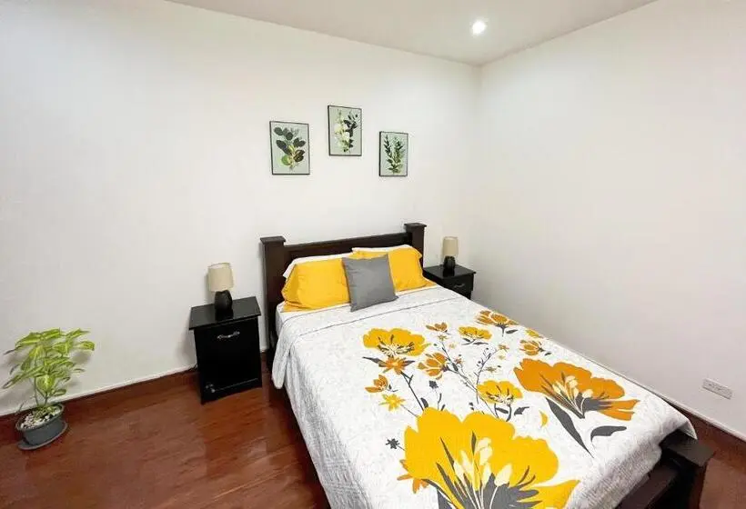 اتاق استاندارد با سرویس بهداشتی مشترک, Viva Guest House