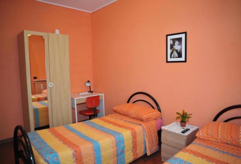 Номер Стандарт, Bbgreen